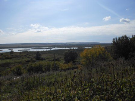 Спартакиада сельских районов · фото 11